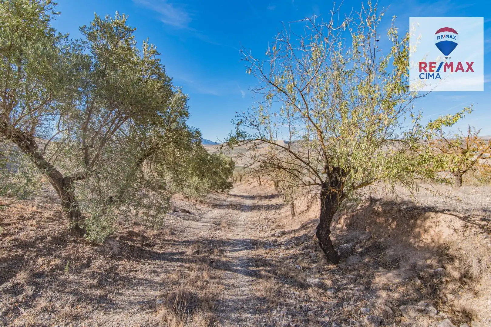 Terreno en venta en Santa Cruz del Comercio