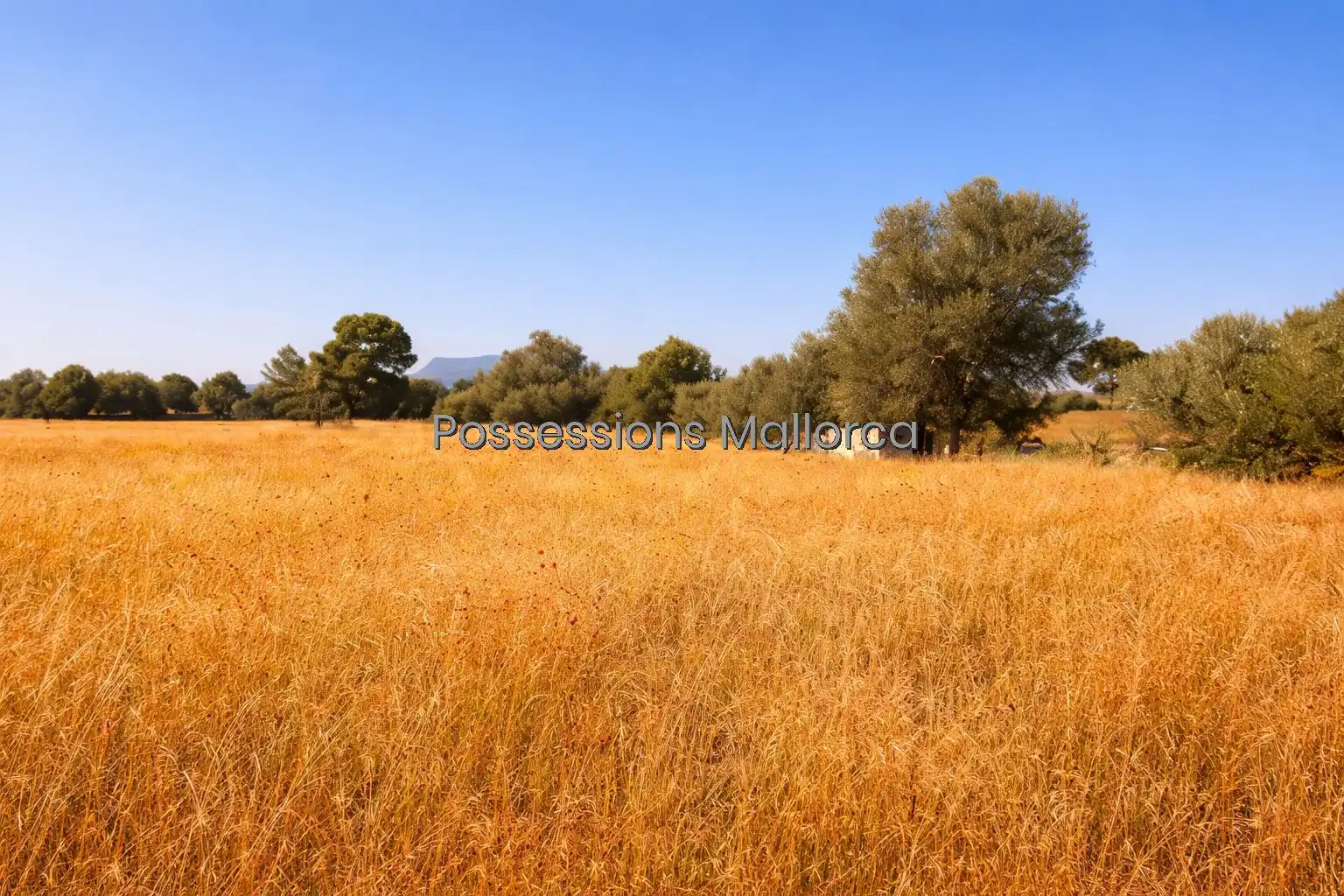 Residencial en venta en  Palma de Mallorca