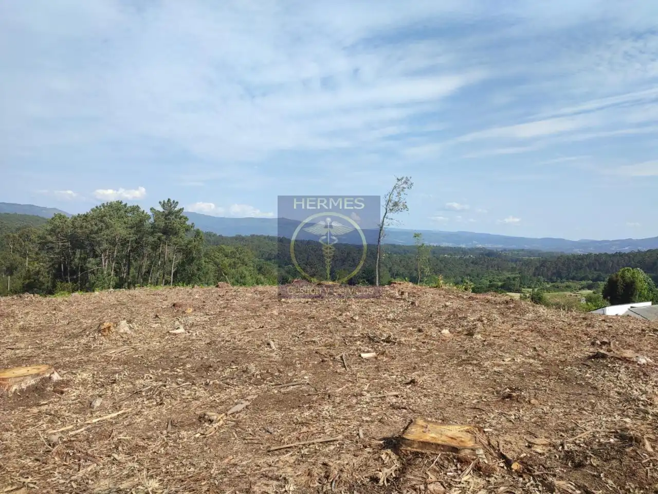 Land for sale in Tui