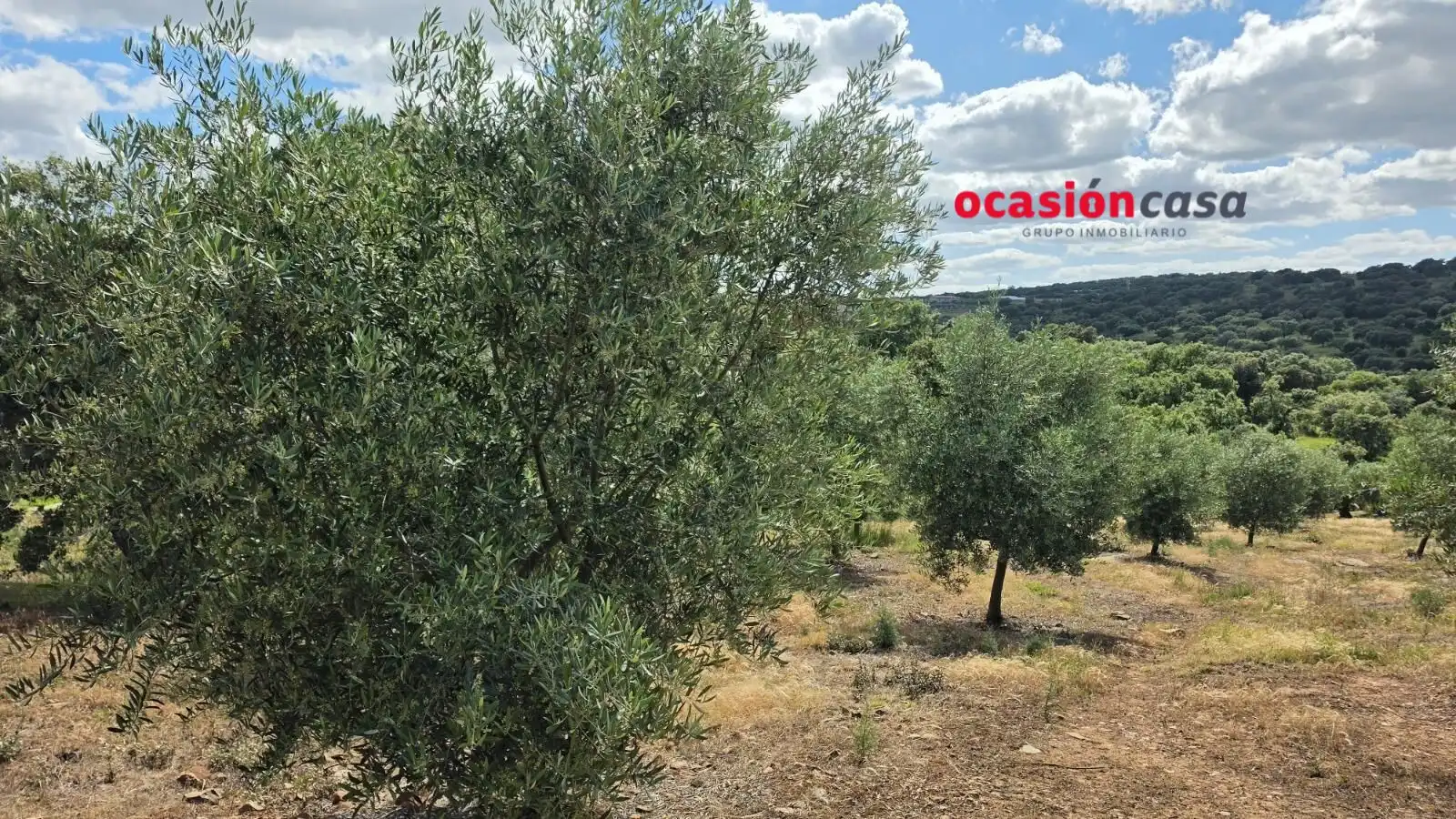 Residential land for sale in Fuente Obejuna, imagen 9