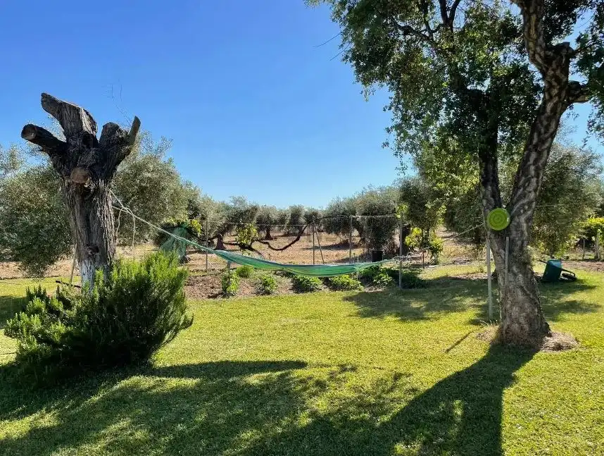 Garden of Houses for sale in Mengabril  with Private garden, Parquet flooring and Terrace