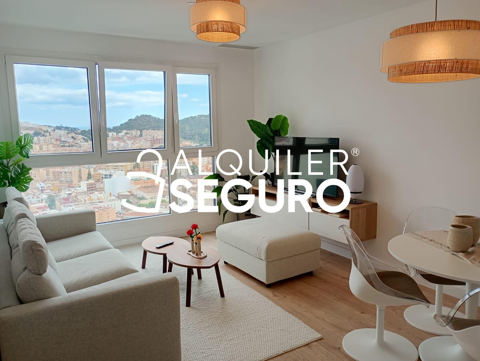 Sala d'estar de Pis de lloguer en Málaga Capital amb Aire condicionat, Calefacció i Piscina