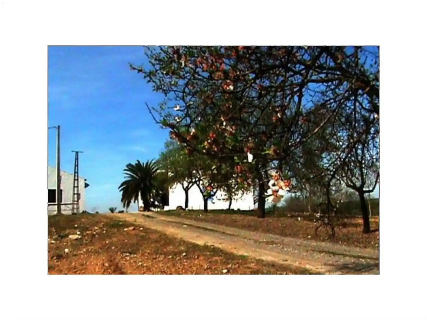House for sale in Las Vegas - Campoaras, imagen 6