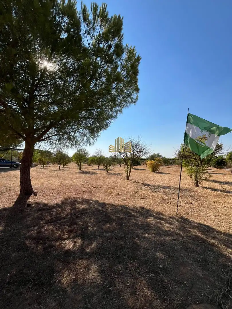 Casa o xalet en venda en Alcalá de Guadaira amb Traster