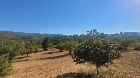 Foto 2 de Casa o xalet en venda a Macastre, Valencia