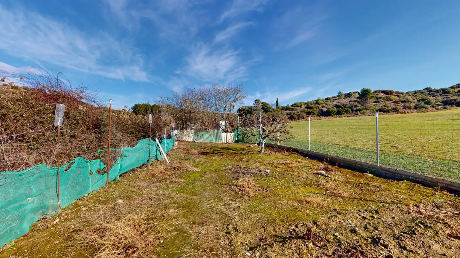 Rural land for sale in Tafalla - TERMINO JUNCAL, imagen 13