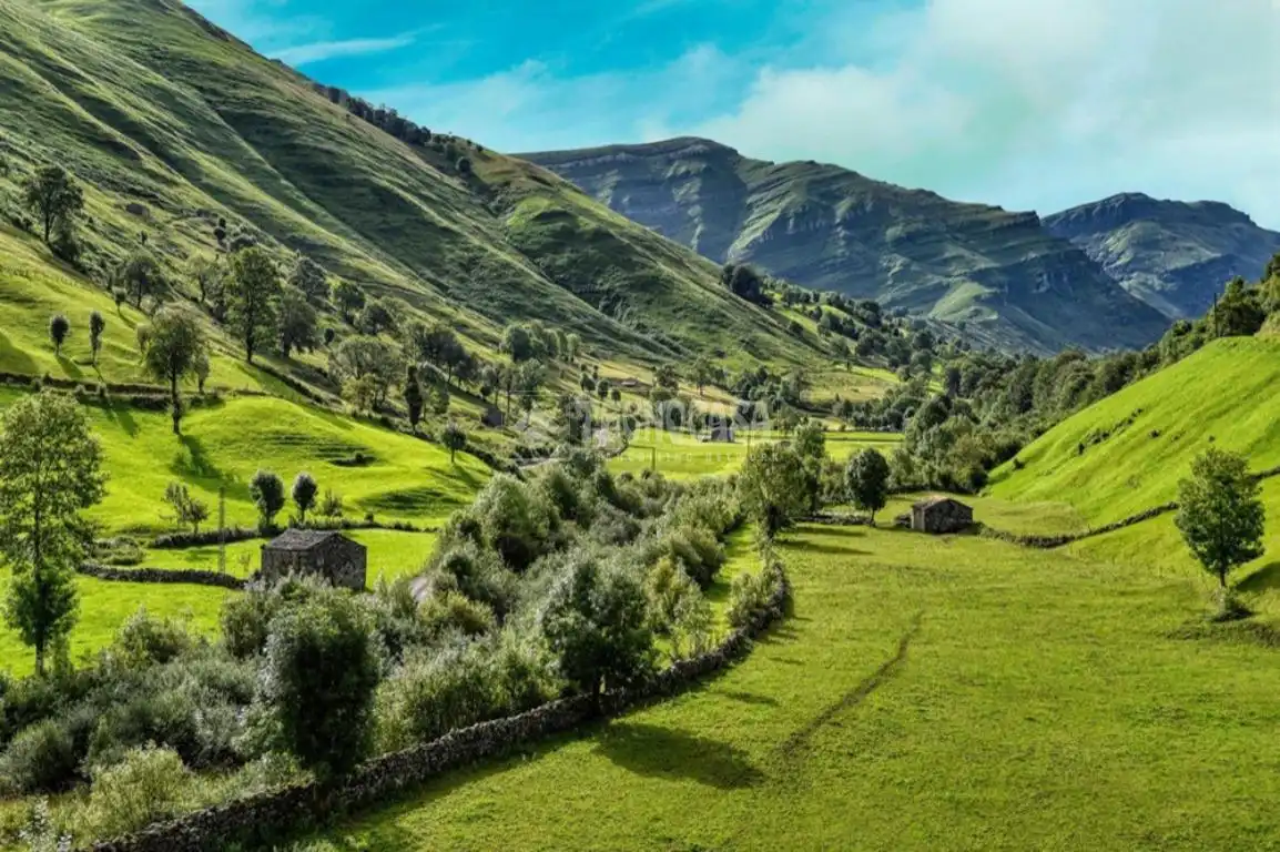 Vista exterior de Finca rústica en venta en Selaya