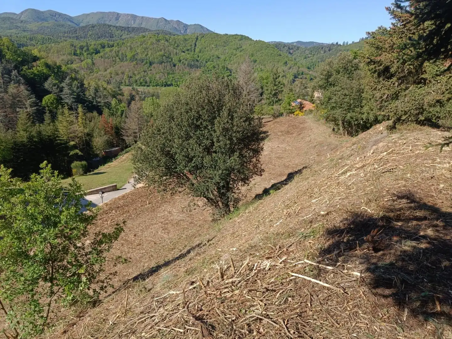 Wohnbaugrundstück zum Verkauf in Montseny 11, imagen 5