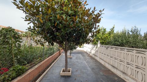 Foto 4 de Casa adosada en venta en Creixell, Tarragona