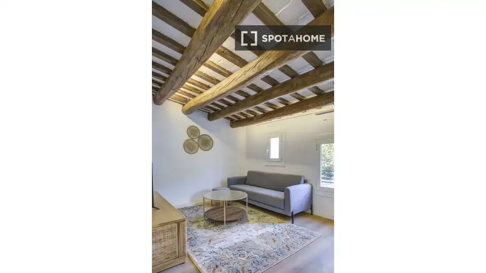 Living room of Flat for rent in Sant Martí