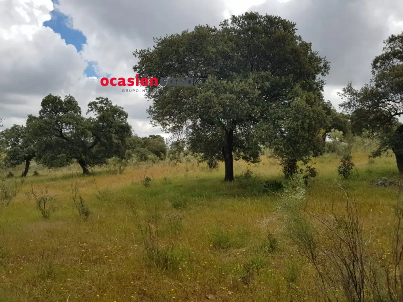 Finca rústica en venta en Torrecampo
