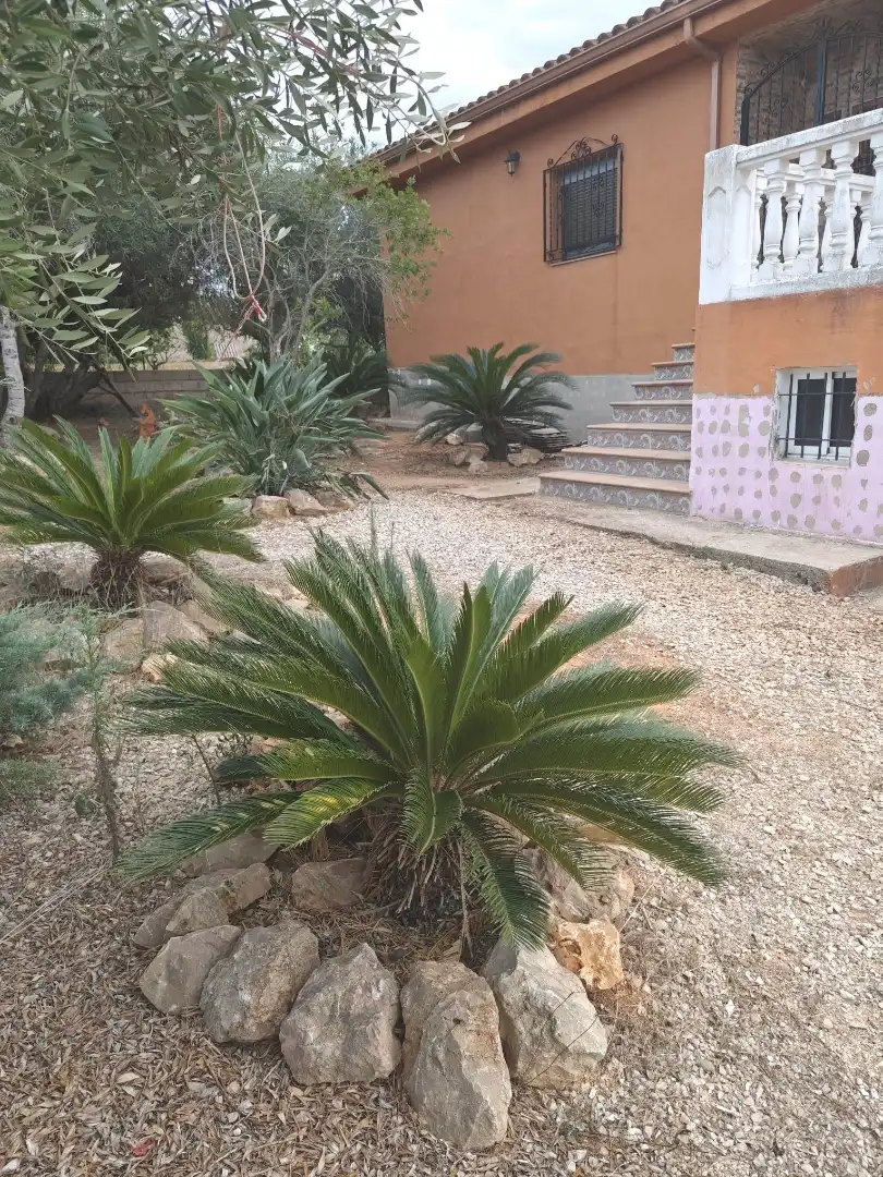 Chalet con piscina en alquiler en Alberic, imagen 4