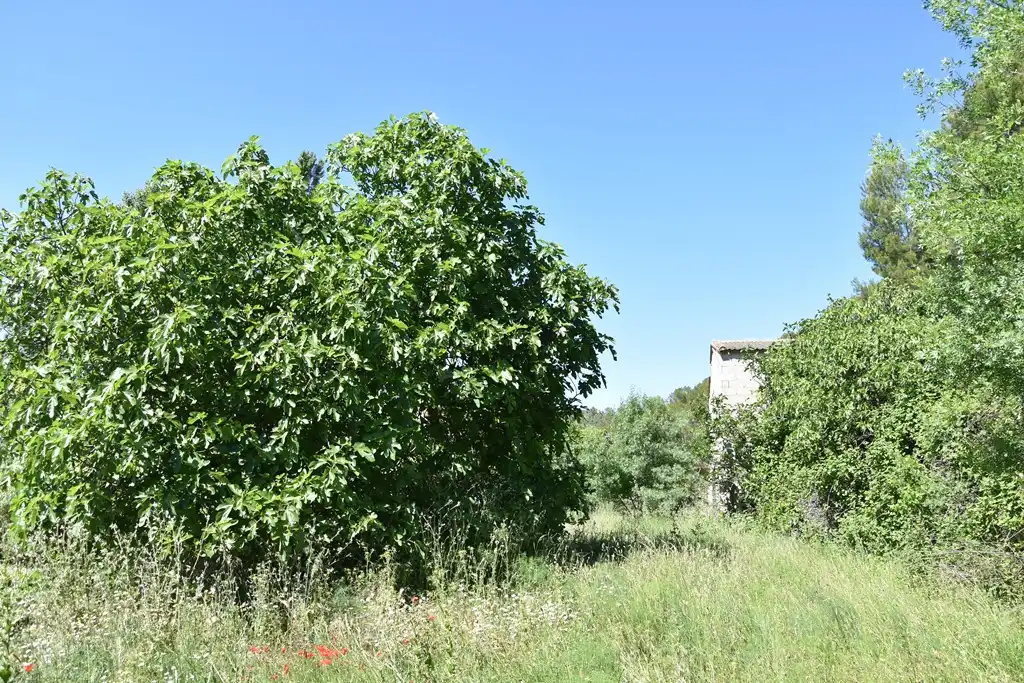 Casa rústica en venda a Mazaleón, imagen 11