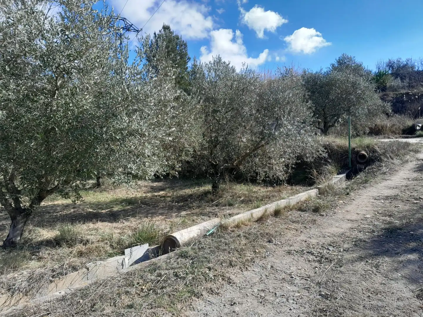 Rustikales Grundstück zum Verkauf in Carretera del Escobar Km 2, imagen 5