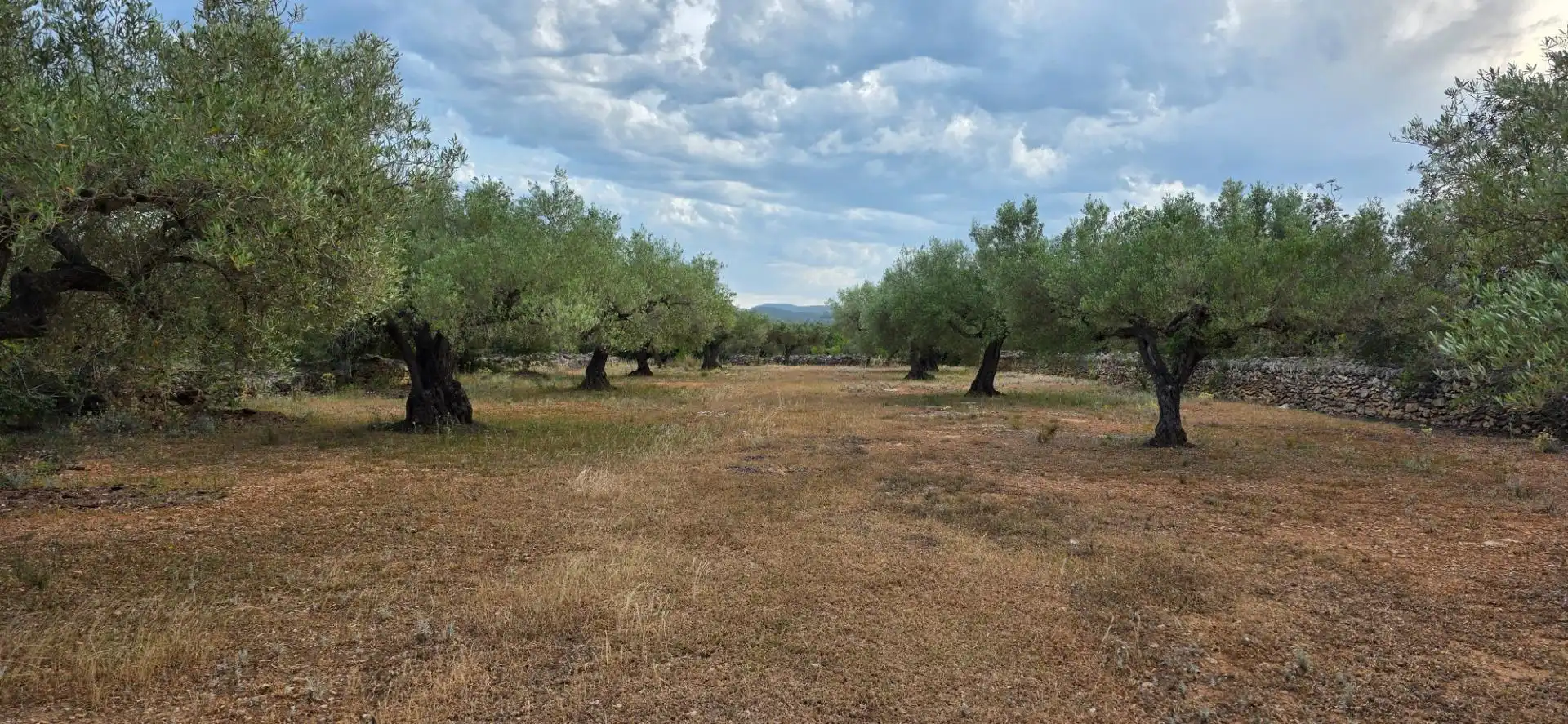 Maison rustique à vendre à L'Ametlla de Mar pueblo, imagen 6