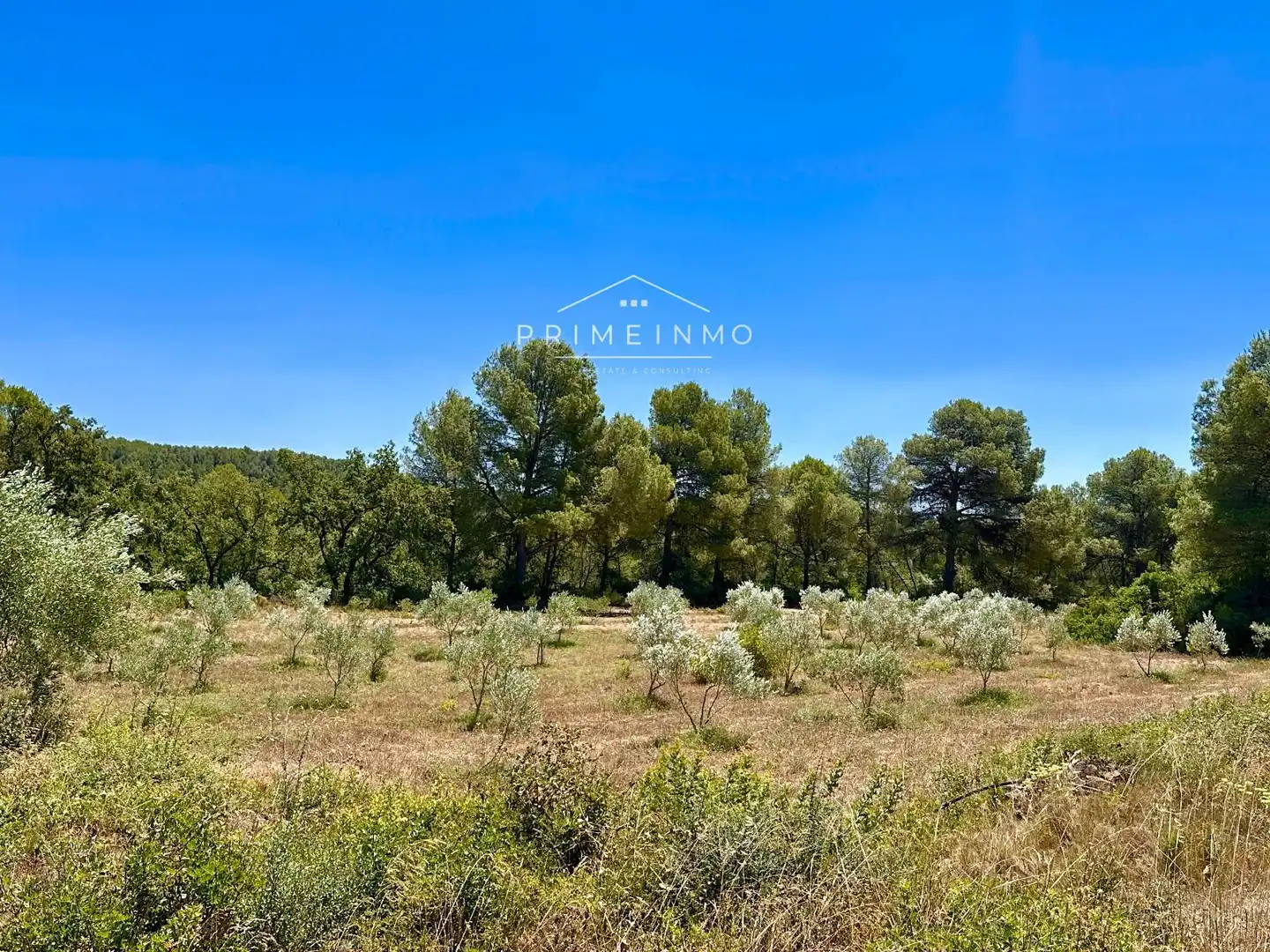 Finca rústica en venda en El Perelló amb Terrassa, Traster i Piscina