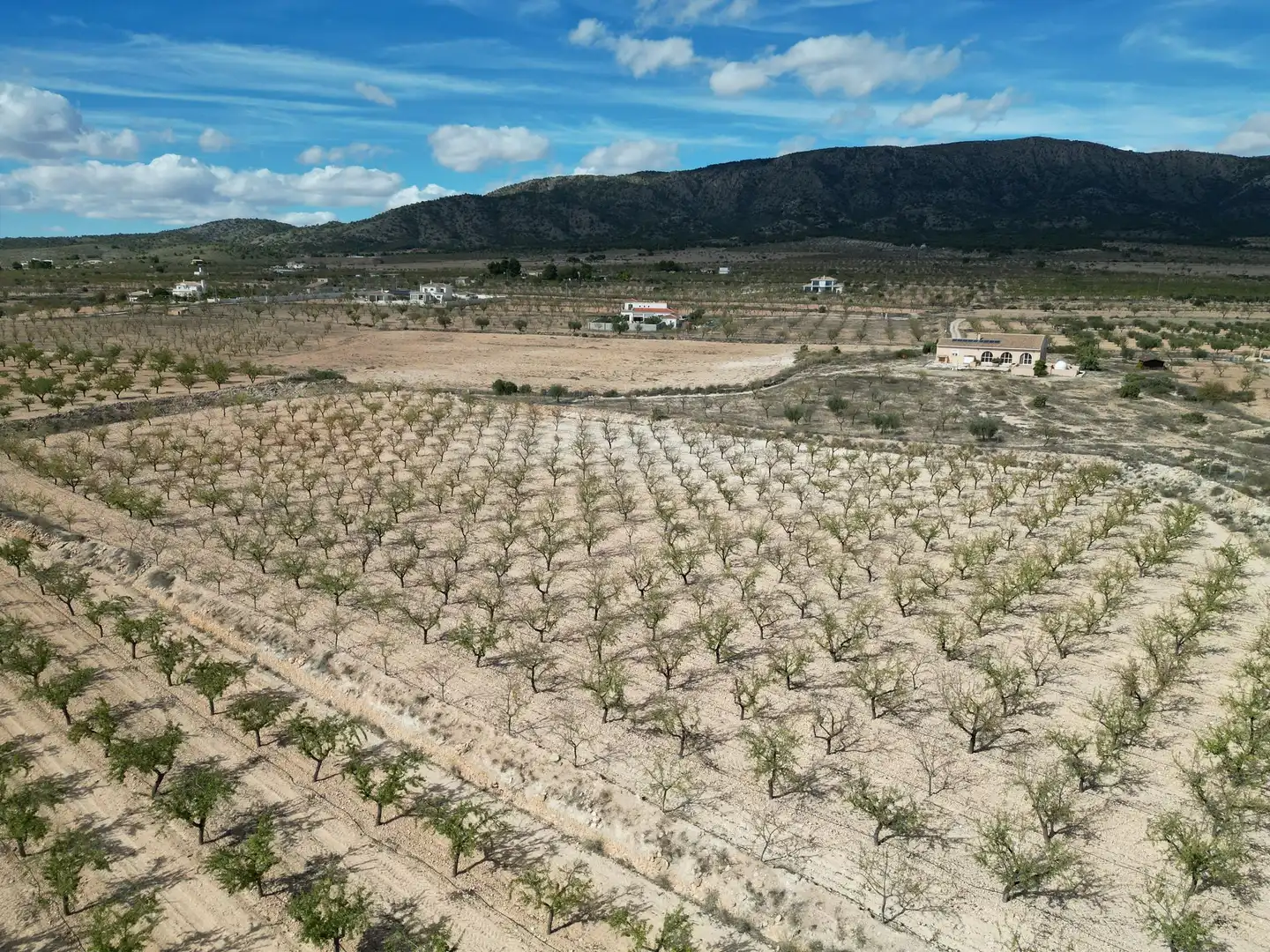 Wohnbaugrundstück zum Verkauf in El Pinós / Pinoso, imagen 6