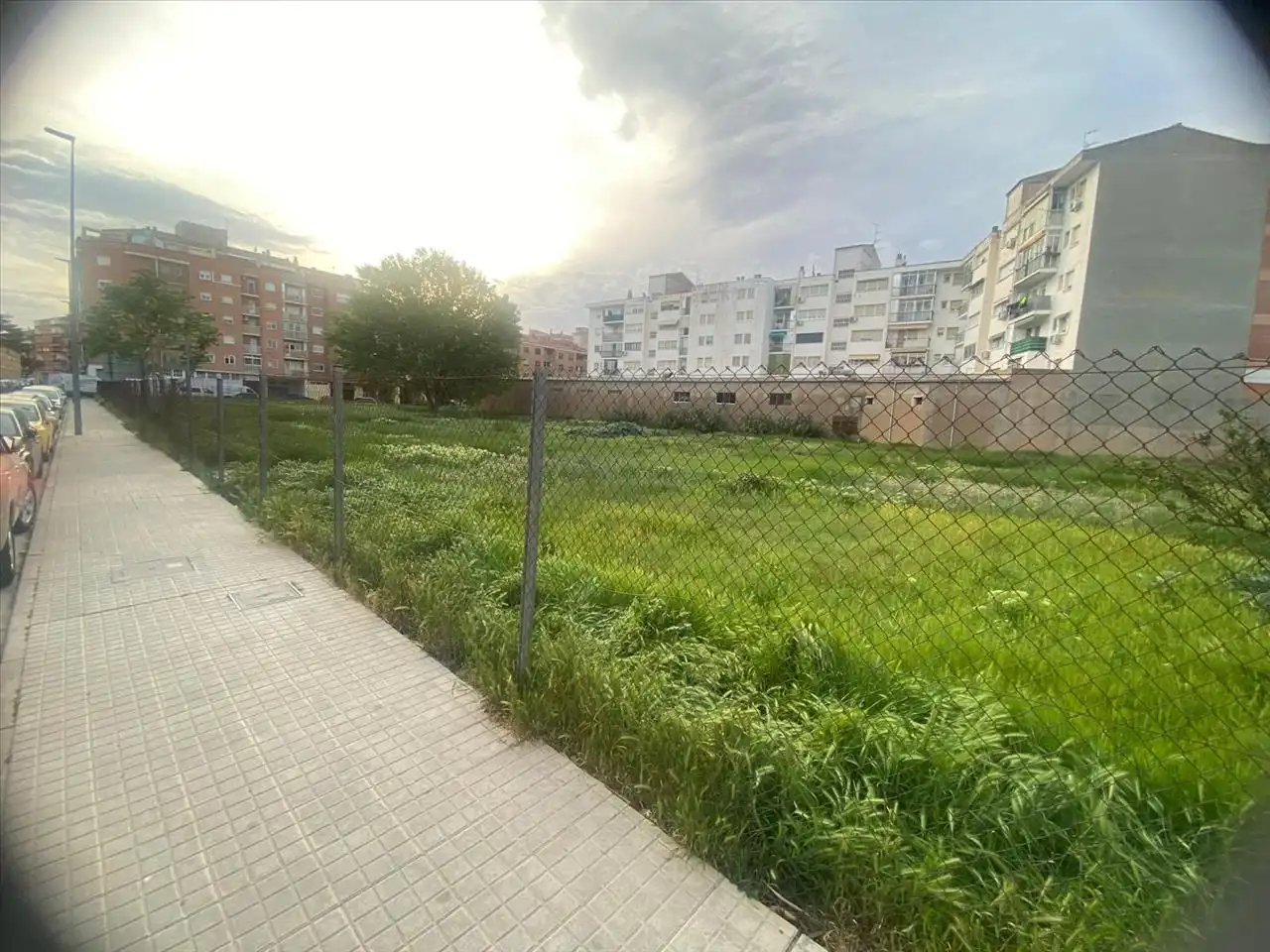 Terreny rústic en venda a Lucainena de las Torres