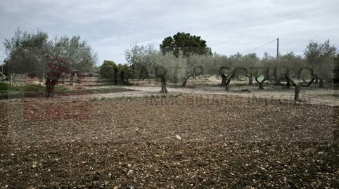 Photo 5 of Country house for sale in  Poligono 17, Pueblo, Benicarló