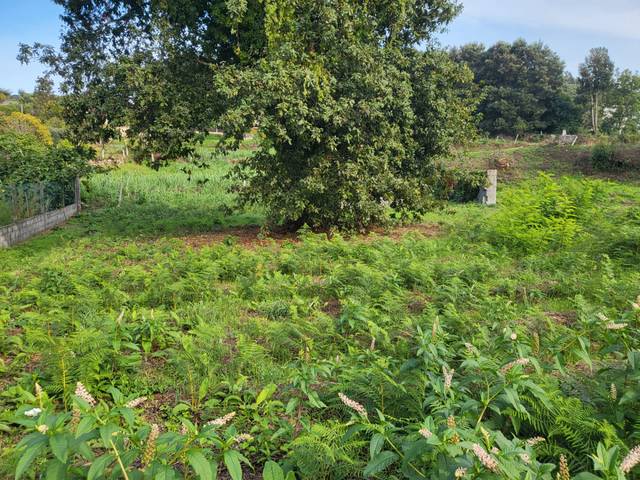 Terreno residencial en Venta en Sardoma - Castrelos