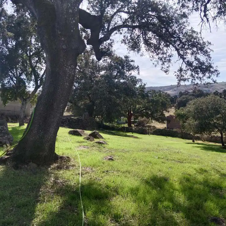 Country house for sale in El Castillo de las Guardas, imagen 6