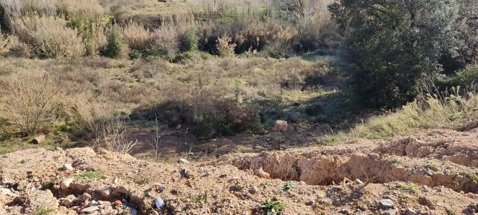 Terrain résidentiel à vendre à Sant Muç, imagen 15
