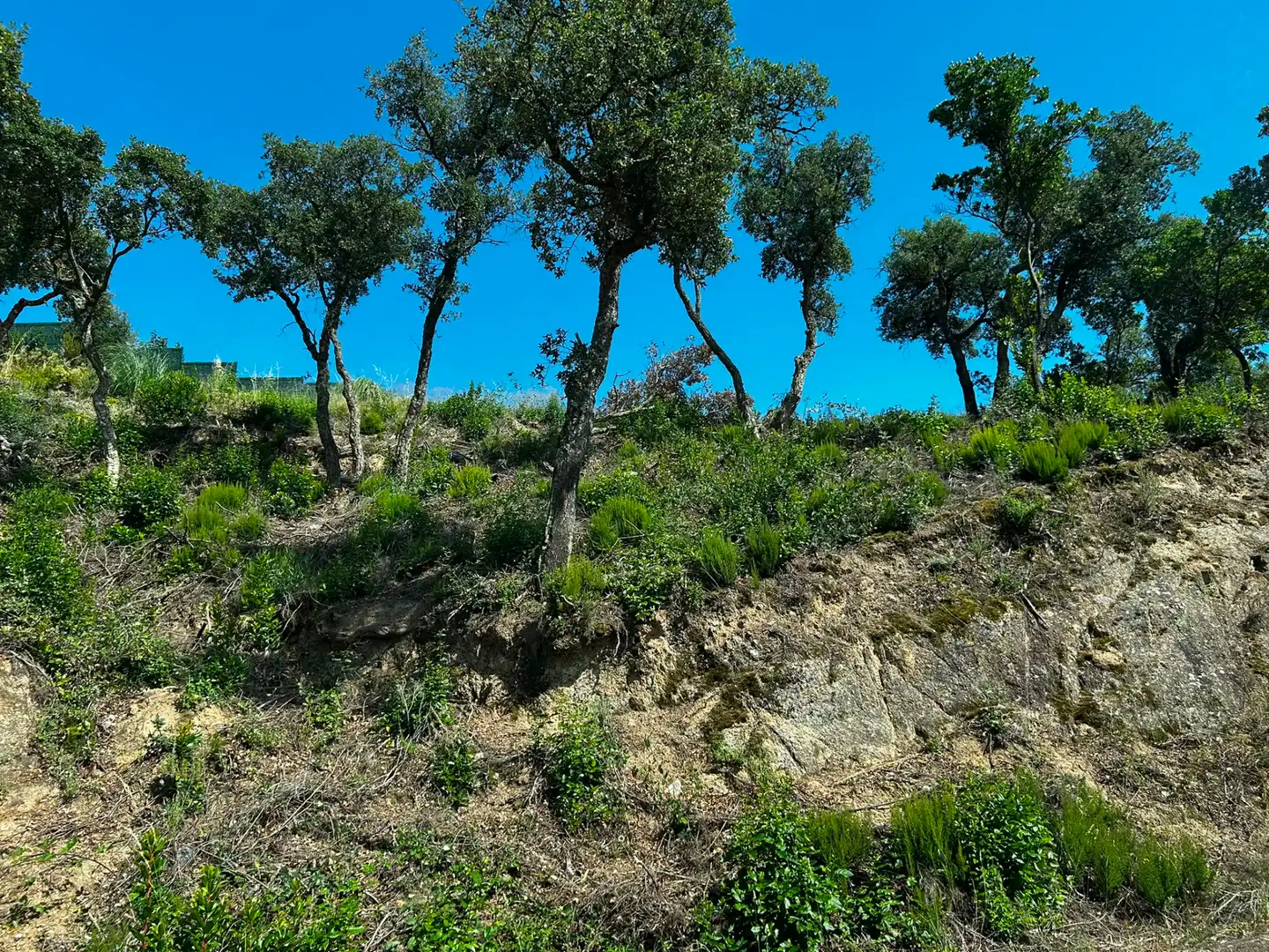 Terreno residencial en venta en Lloret Residencial - Montlloret, imagen 2