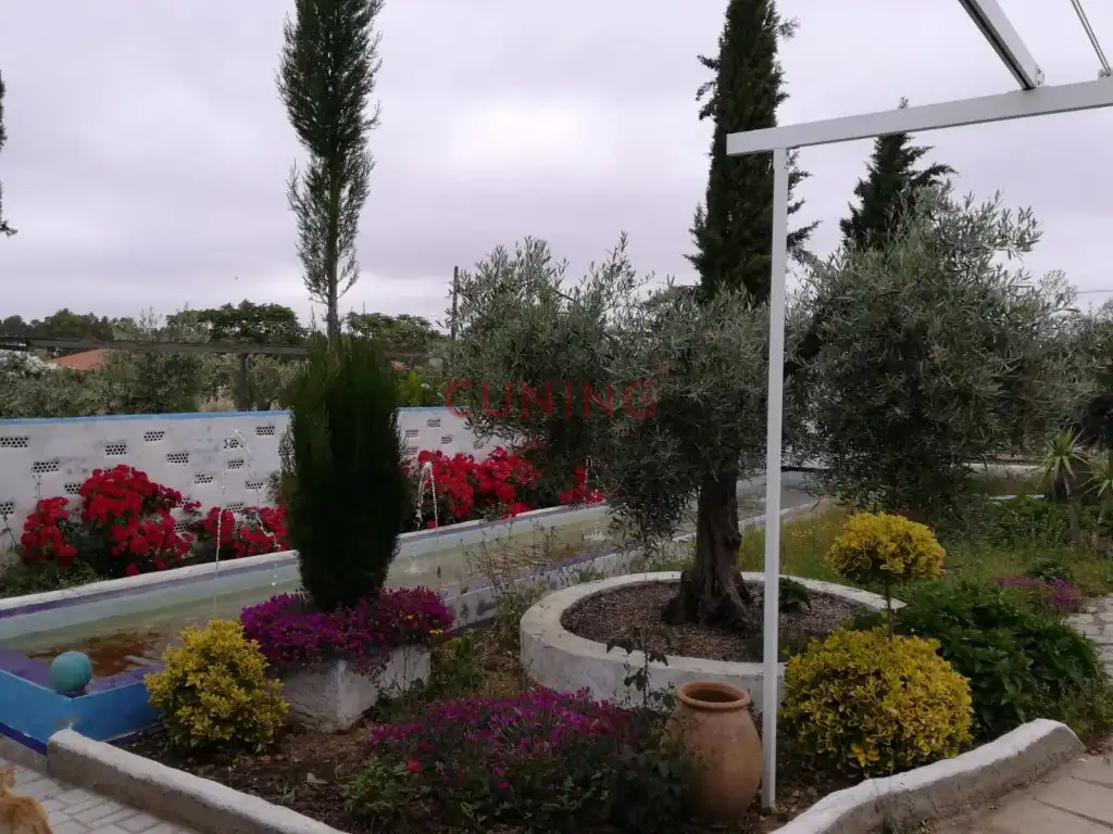 Garten von Residential zum Verkauf in Alcuéscar