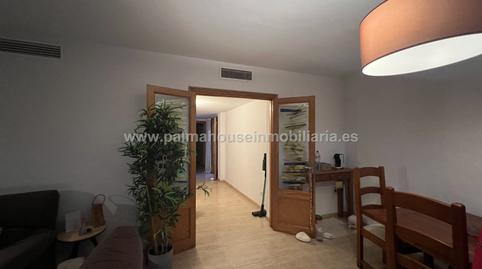 Foto 5 de Planta baixa en venda a Santa Margalida Poble, Illes Balears