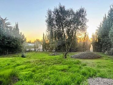 Terrain rustique à vendre à Terrenos Urb. Nueva de los Cabreros