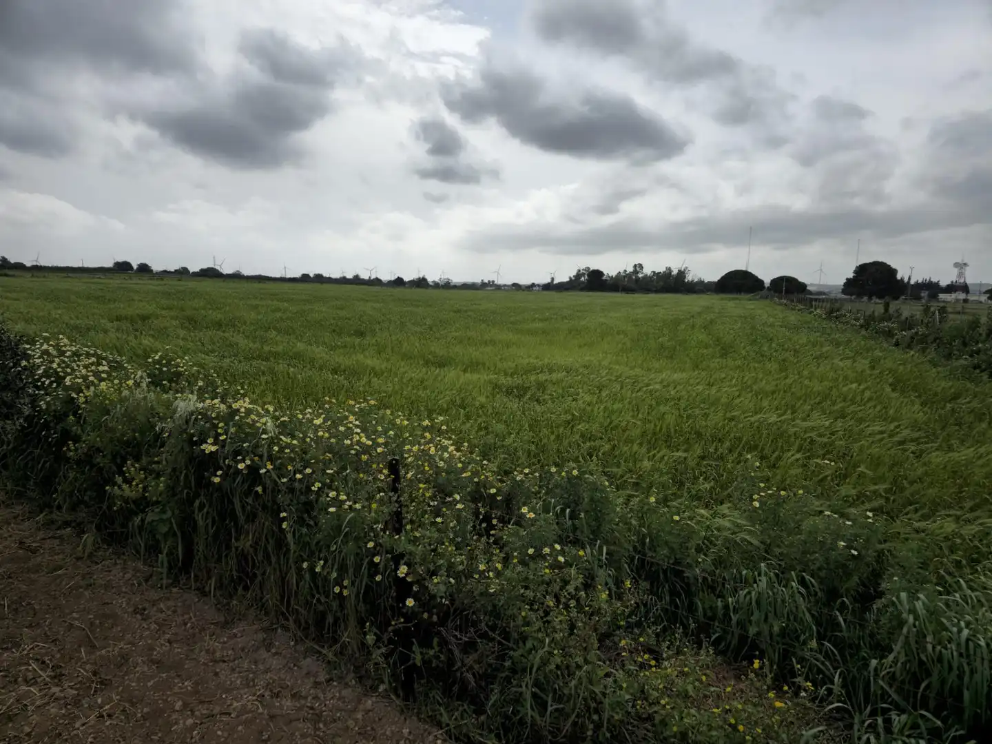 Finca rústica en venta en Puerto Real con Trastero