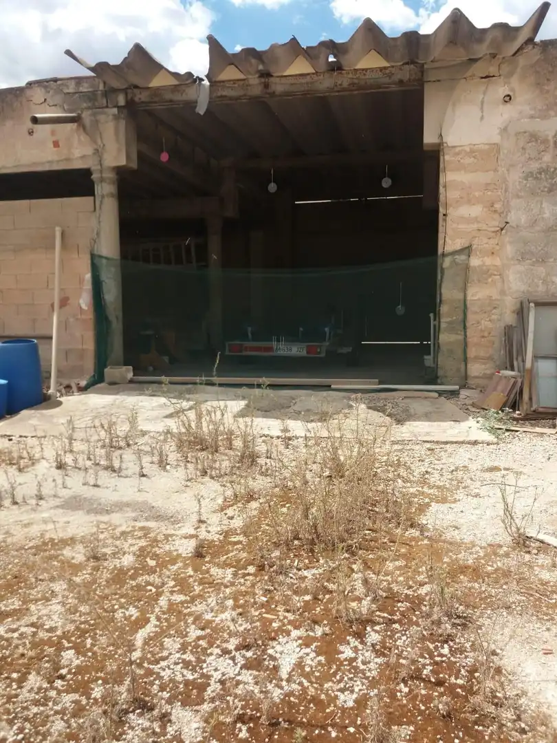 Lands and plots for sale in Sa Pobla, imagen 14