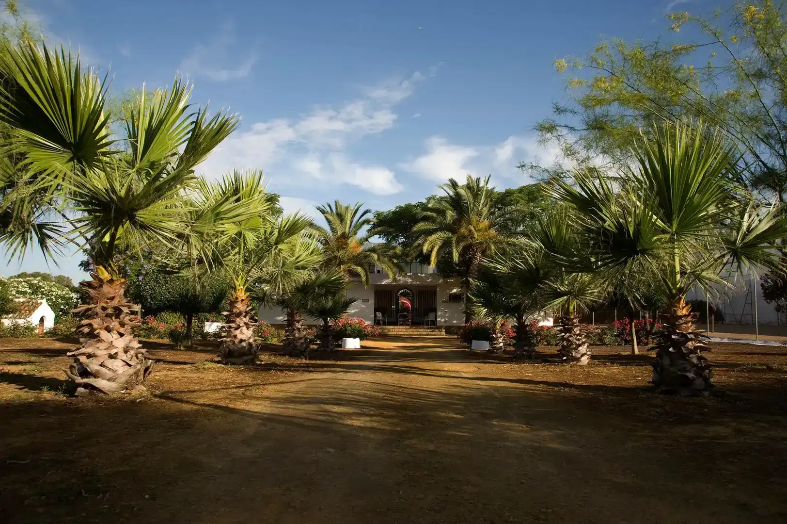 Jardí de Casa o xalet en venda en Carmona amb Aire condicionat, Jardí privat i Traster