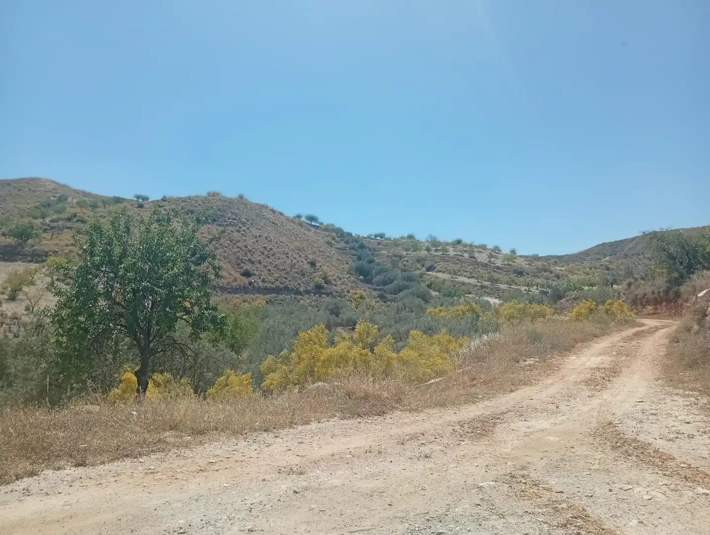 Rural land for sale in Lubrín, imagen 7