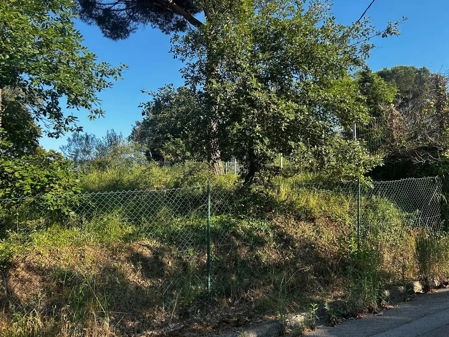 Residential land for sale in Residencial Park, imagen 25