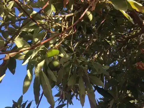 Jardín de Piso en venta en Arona con Aire acondicionado y Balcón