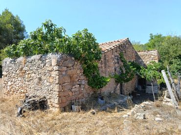 Terreno rustico in vendita a Lledó
