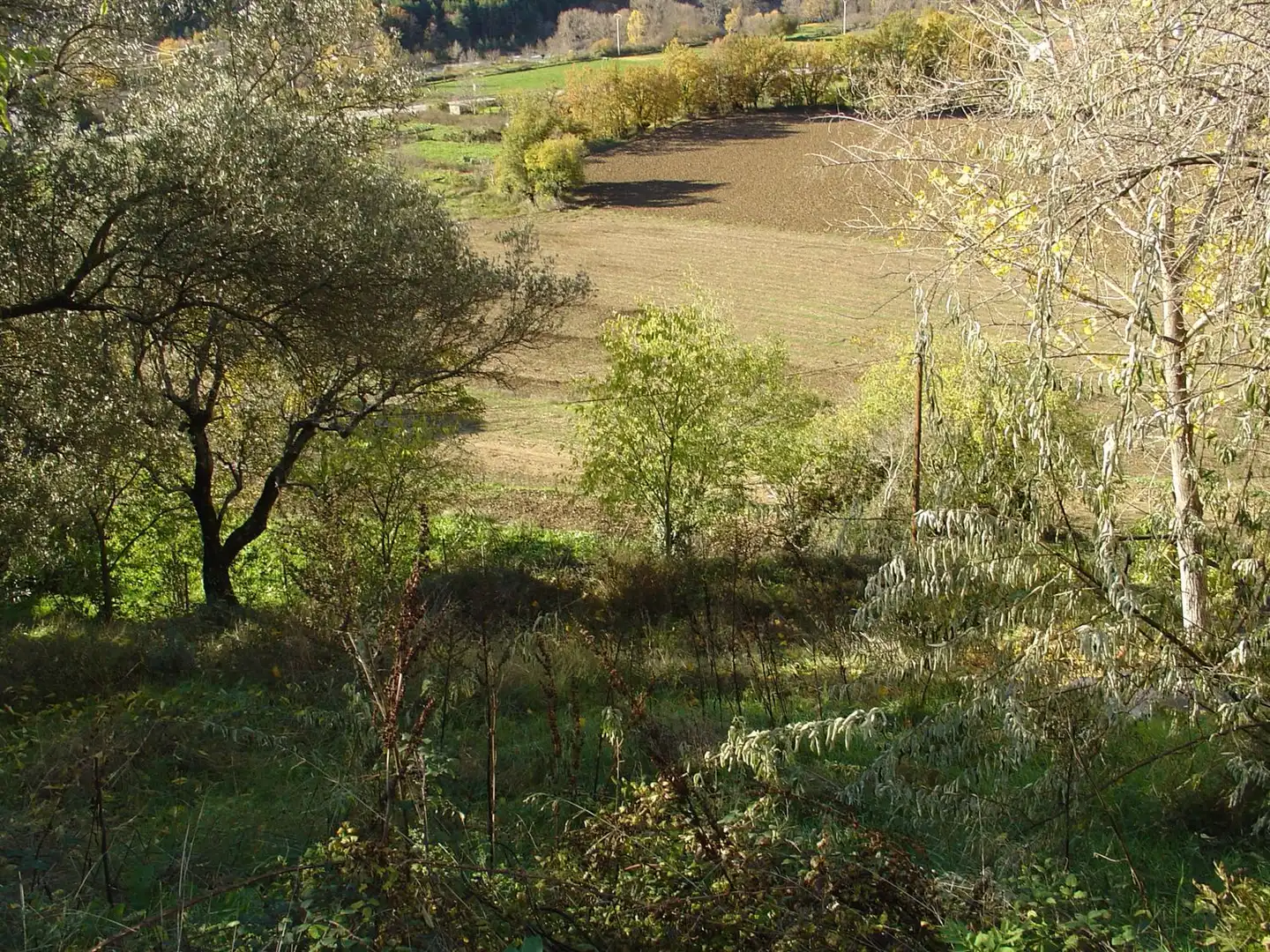 Terreni e lotti in vendita a Boltaña, imagen 12