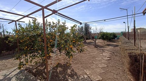 Foto 2 de Finca rústica en venta en Saboya, Alboraya