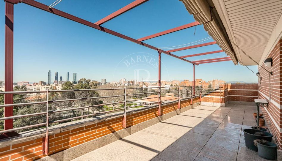 Piso de alquiler en Apóstol Santiago - Imagen 4