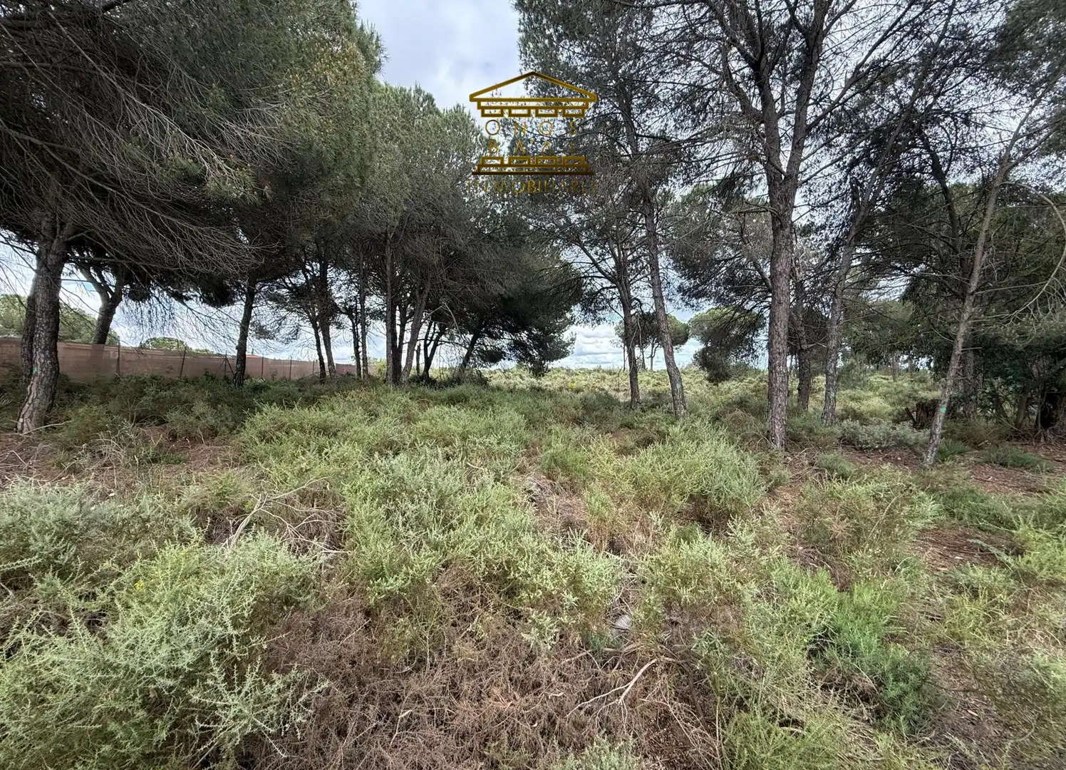Terreno en venta en Almonte