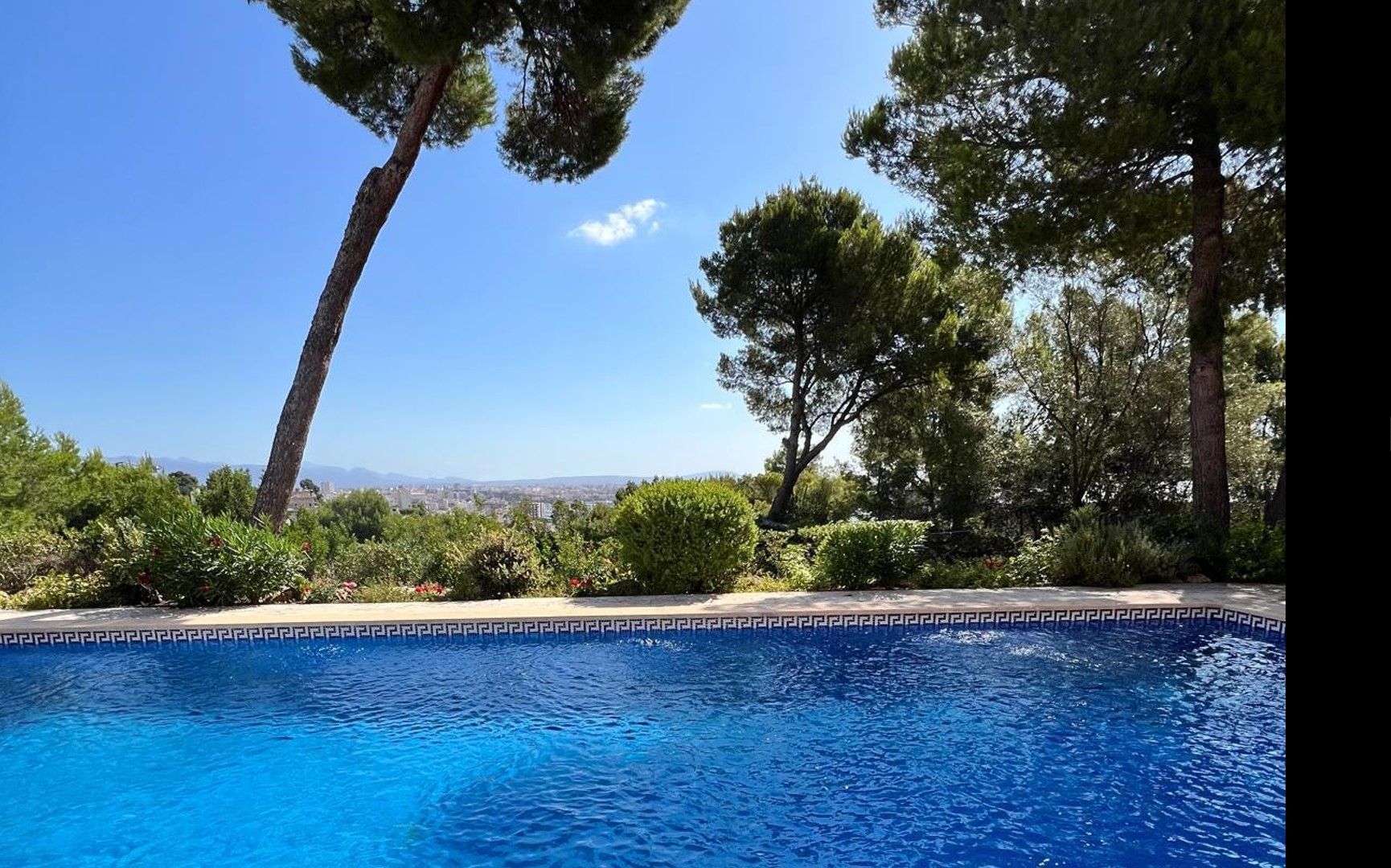 Swimming pool of Attic for sale in  Palma de Mallorca  with Community pool