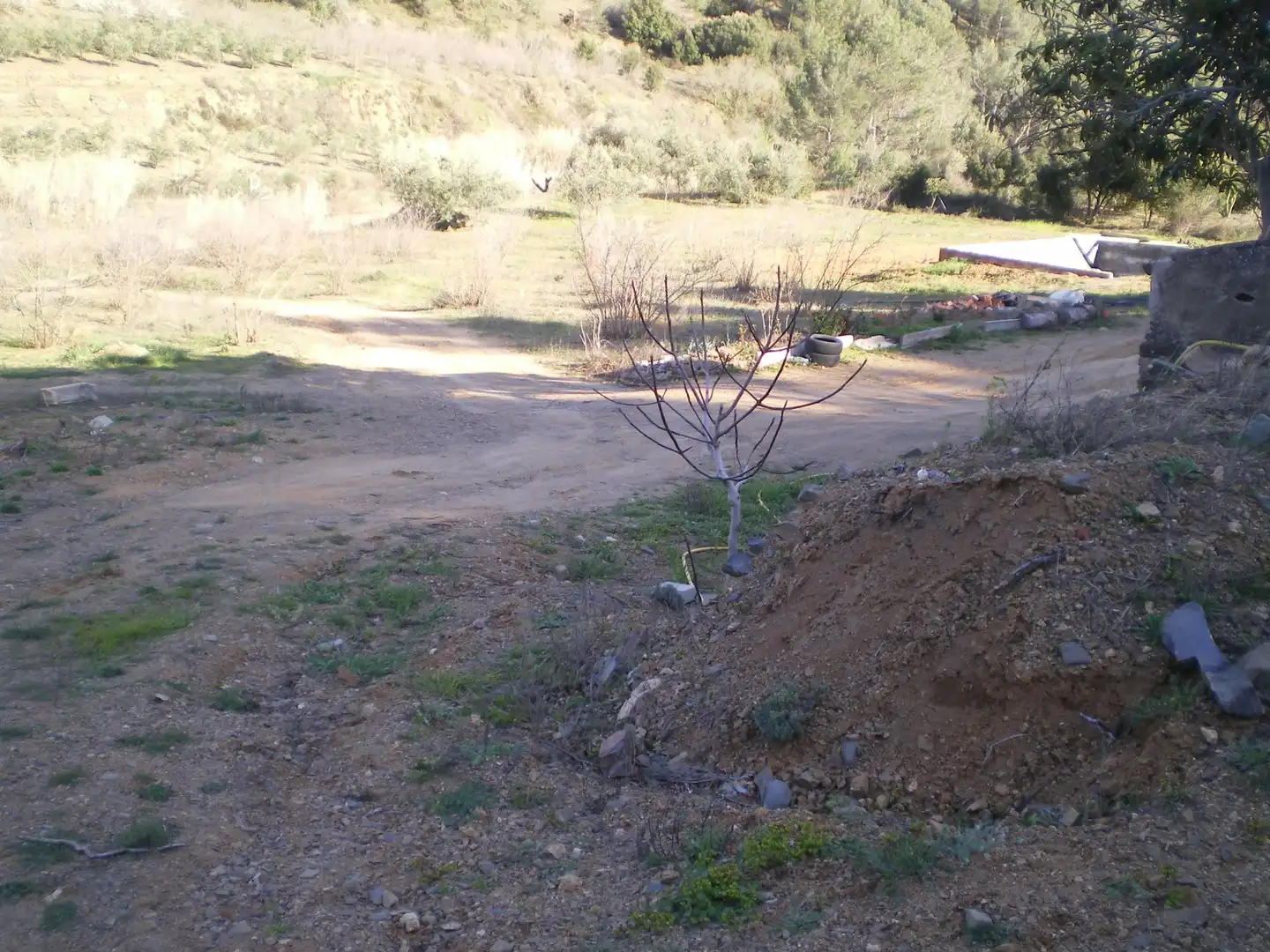 Terreno rustico in vendita a Riudecols, imagen 10