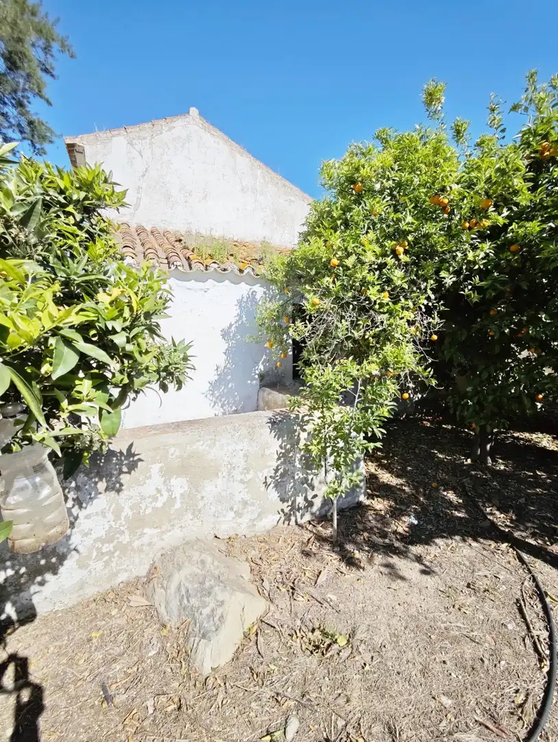 Jardí de Finca rústica en venda en Cártama