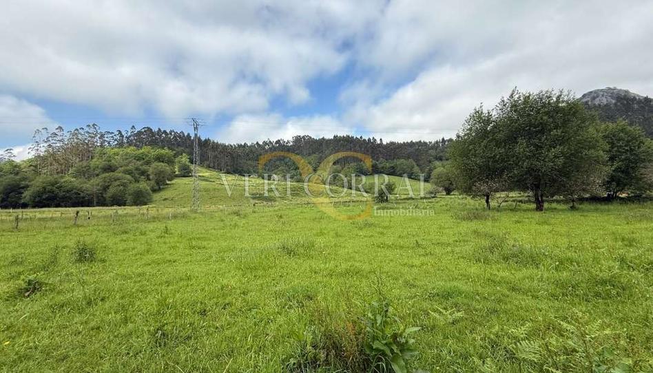 Foto 1 de Residencial en venda a Rales, Vibaña - Ardisana - Caldueño, Asturias