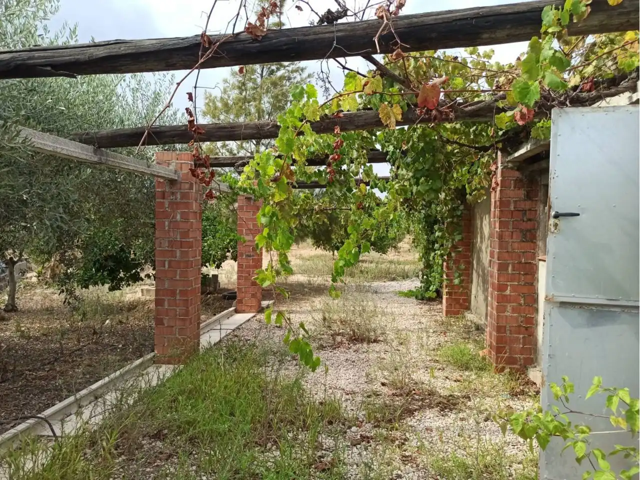 Terreno rustico in vendita a Cervera del Maestre, imagen 2