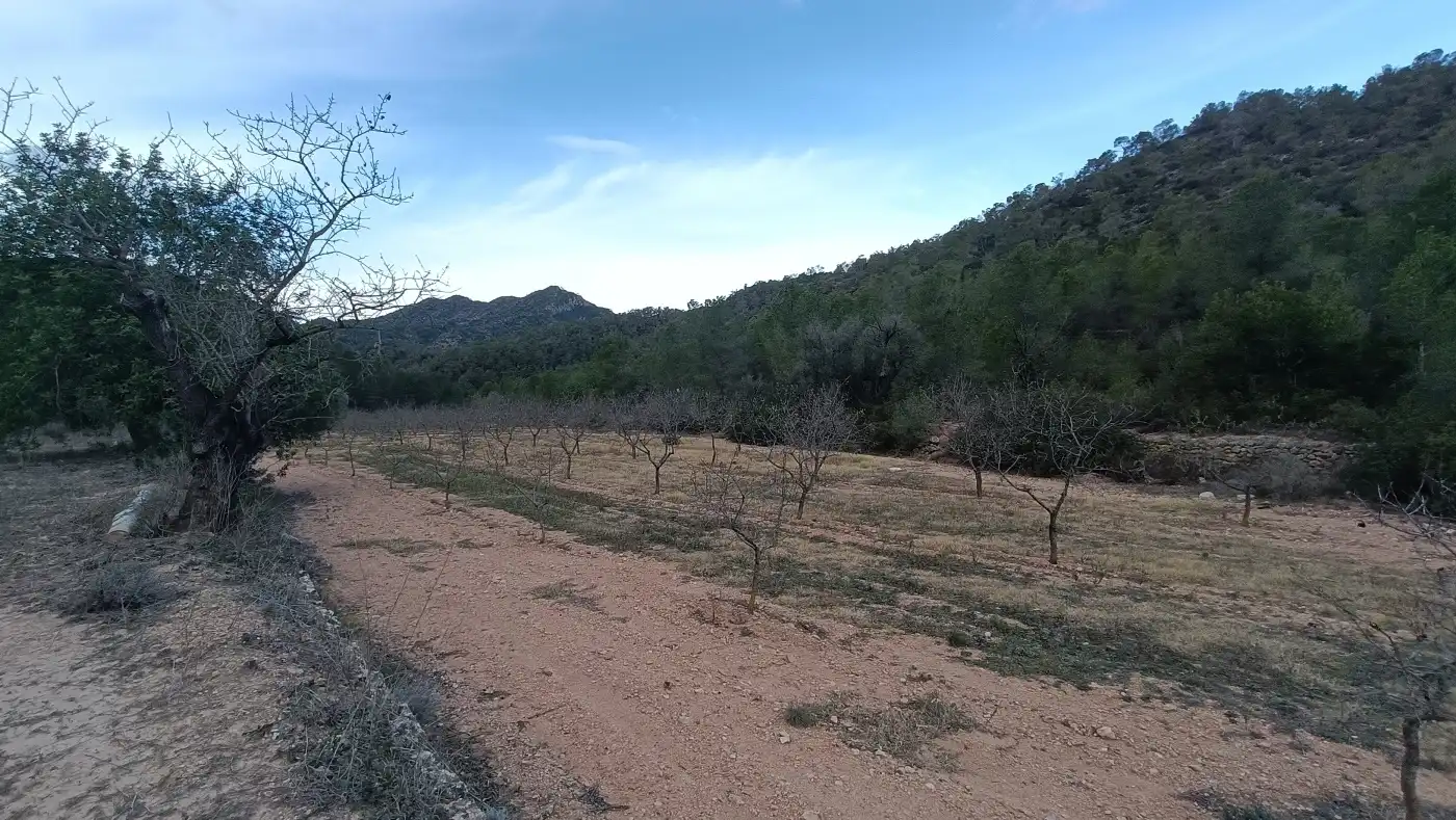 Terreny rústic en venda a Miravet, imagen 15