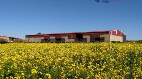 Foto 3 de Terreno en venta en Brozas, Cáceres