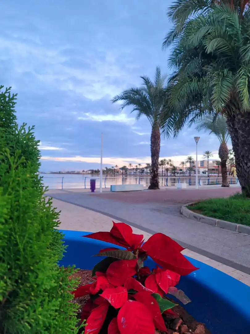 Vista exterior de Apartamento en venta en Mar Menor de Cartagena – Cabo de Palos