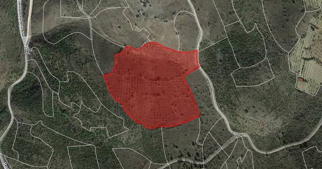 Terreno en Venta en Ptda Paraje Hoya del Olivo en Ateca